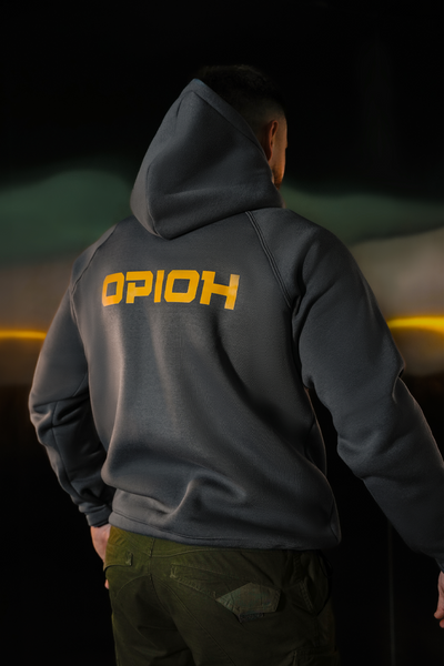 Худі L ОРІОН сірий PR003 фото
