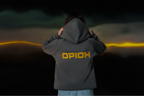 Худі L ОРІОН сірий PR003 фото
